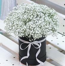 Цветочная композиция из Гипсофила в шляпной коробке #REPLACE_PRED# Разумном